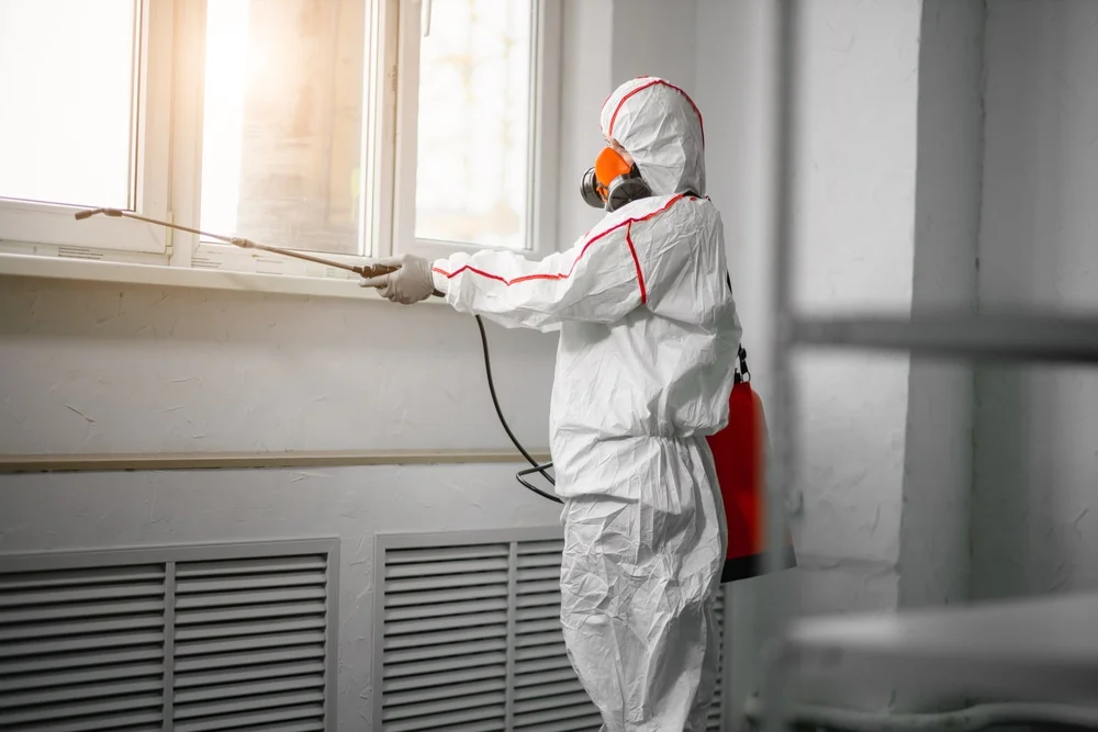 Professional mold remediation services in Drake, CO